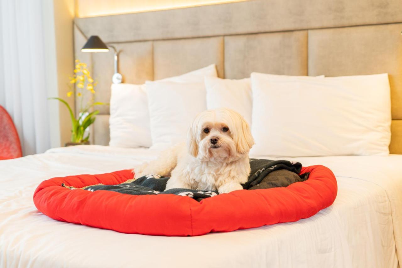 Mercure Sao Paulo Jardins Ngoại thất bức ảnh